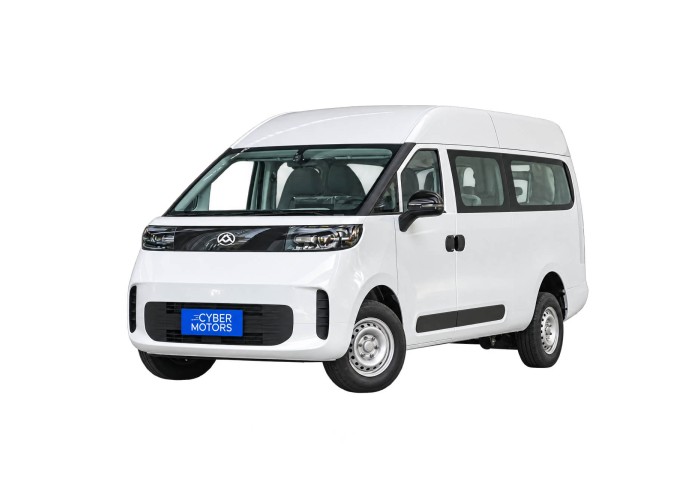 Saic Maxus Dana V1L